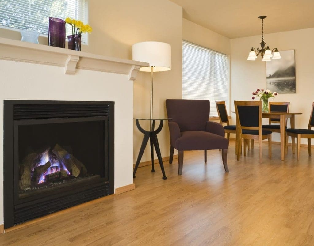 Gas Fire Maintenance