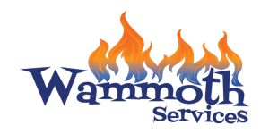Wammoth Services Your Gas Fireplace Experts